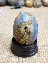 The live broadcast link is for personal use only. Please do not shoot.