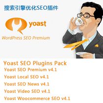 Yoast SEO Premium-WordPress under the powerful search engine optimization SEO plug-in