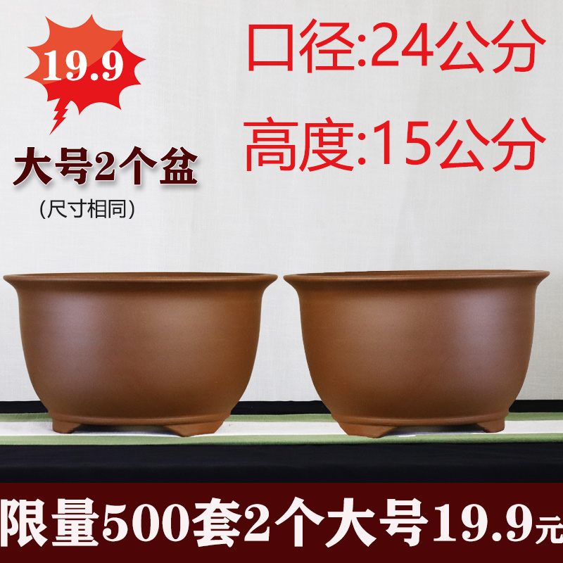 Yixing Purple Sand Orchid Pot Special Price Round Mouth Basin Balcony Jun Zlan Size Special Gold Gross Green Plant Multi-Meat Brief