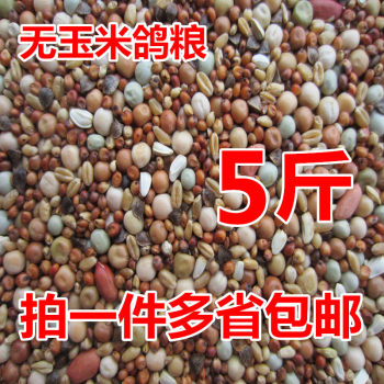 ຈັດສົ່ງຟຣີ 5 ປອນອາຫານນົກກາງແກທີ່ບໍ່ມີສາລີ, ອາຫານກາງແກໄວ, ອາຫານທີ່ມີທາດບໍາລຸງ, ອາຫານນົກ, ນົກກາງແກ, ຊີ້ນນົກອິນຊີປະດັບ, ອາຫານກາງແກ, ອາຫານທົ່ວໄປ