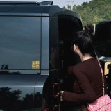 Оконная наклейка, электромобиль