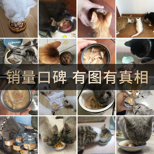 Японская золотая кошка консервирован 80 г*24 кошачья закуски мокрые продукты в федерацию питания кошек.