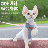 Devin Специализированные тяги веревки, чтобы вырваться из немецкой кошки безволосой кошки и веревки для кошек