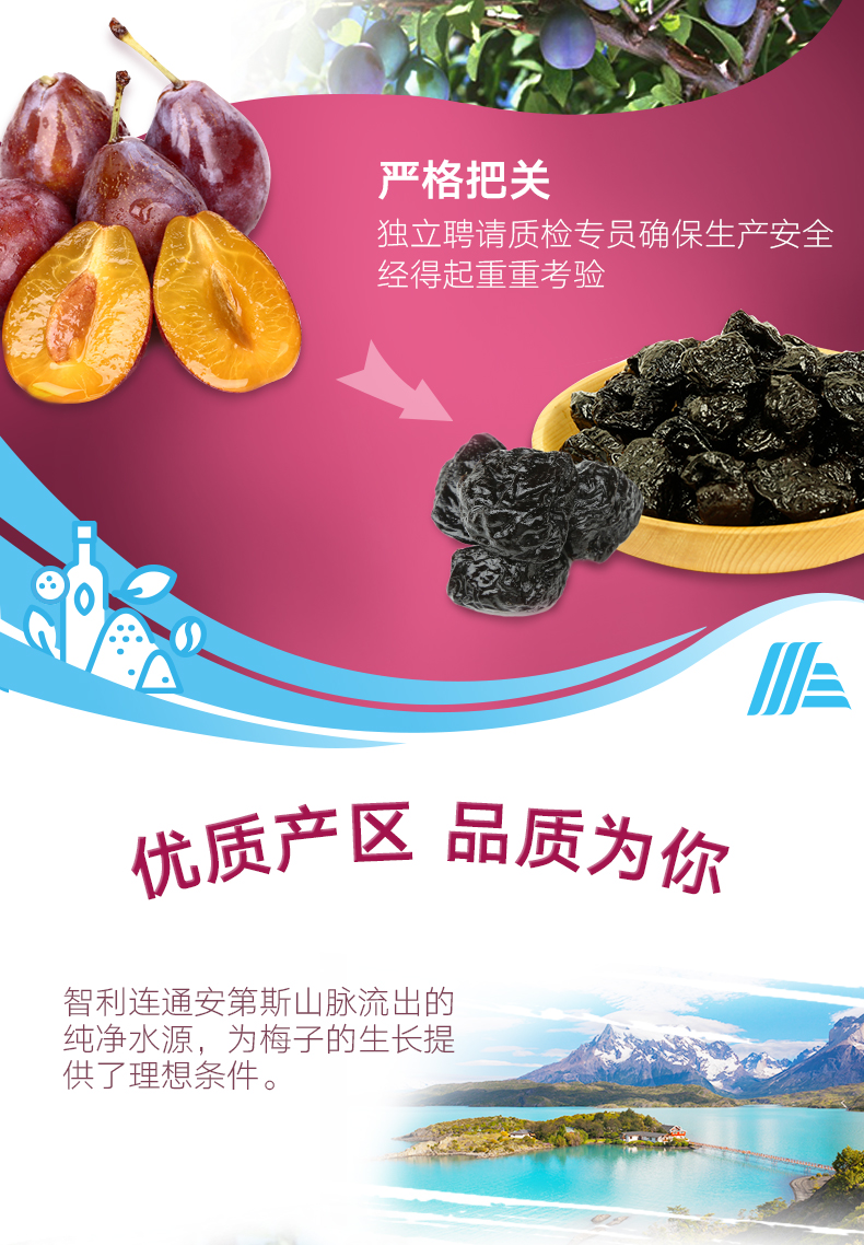 奥乐齐 智利进口 去核西梅干500g*3袋 图3