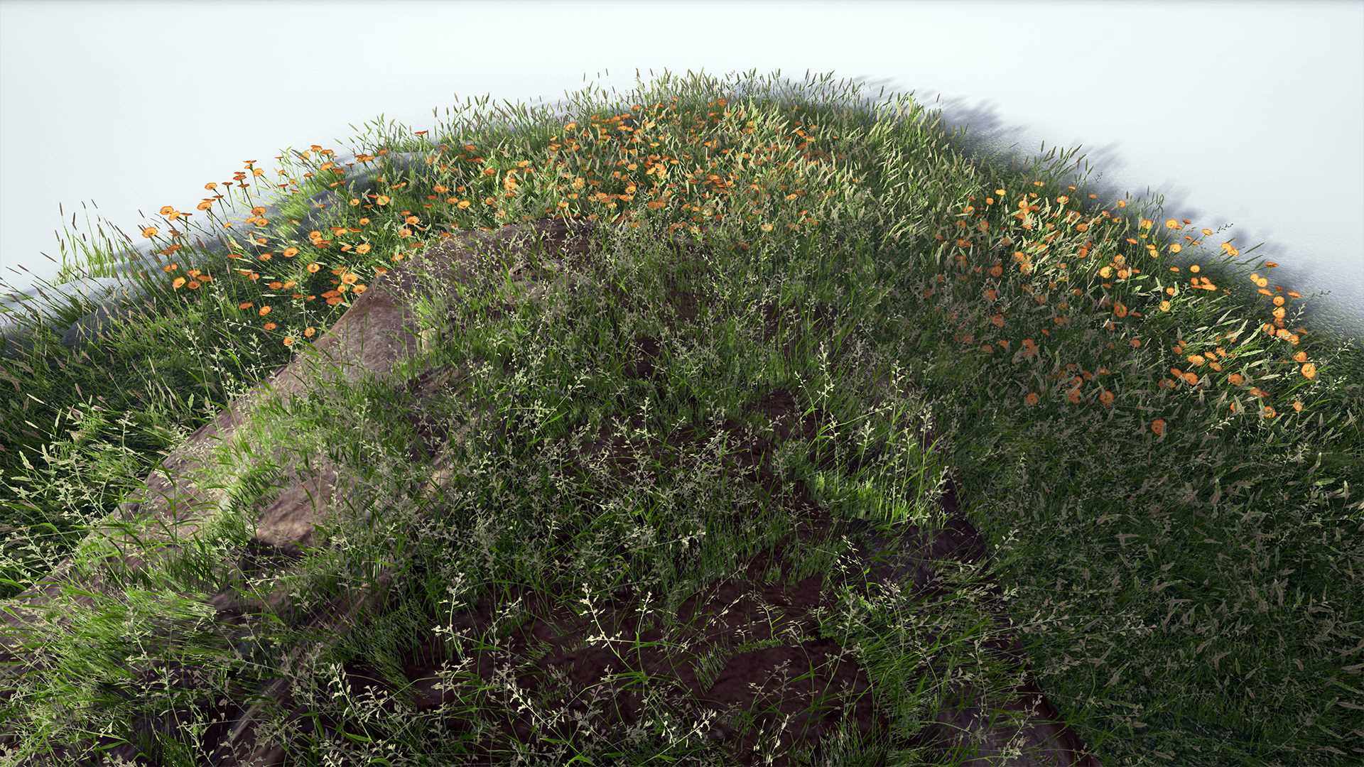 Unreal - UE Vegetable Vegetable Vegetable Grass Resource Pack Plants Pack 4 10 - 4 26