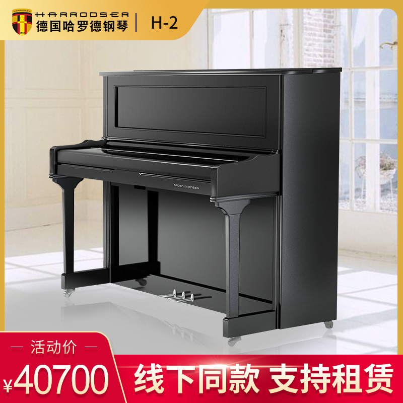 Germany Harold H-2 upright piano imported piano with teaching piano 122 height