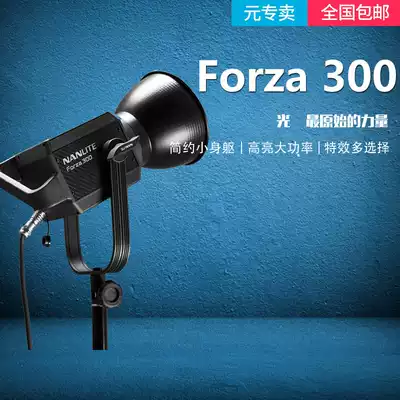 nanlite Nanguang Forza300W LED photography light Soft light Studio photo Nanguan camera fill light