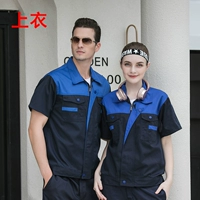 Shangbao Blue Hidden Blue Roote-Top