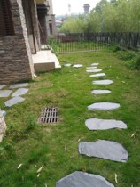 Stone Outdoor Landscape Outdoor Small Courtyard Stairs Paving Green Stone Treading Stone Anti-Talc Garden Square Cultural Marble