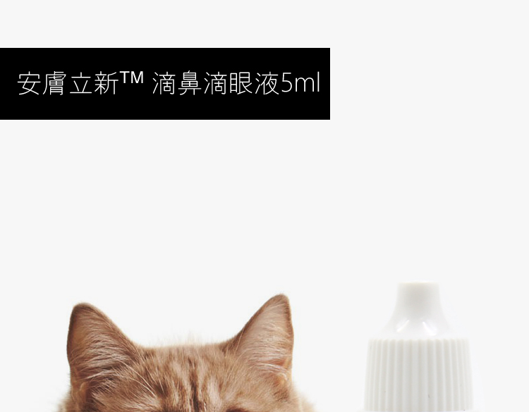 An Fu Li Xin Nasal Liquid Cat Nasal Branch Herpes Virus Chảy nước mắt Chảy nước mũi Hắt hơi Hắt hơi lạnh - Thuốc nhỏ mắt nước nhỏ mắt rohto