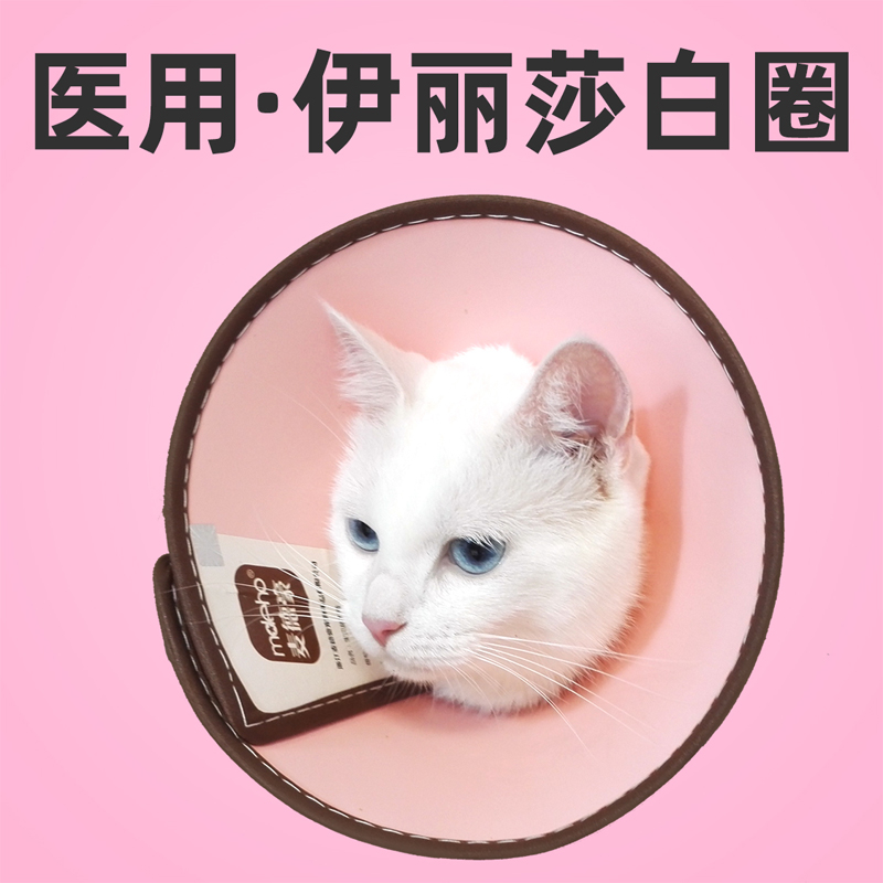 Elizabeth Circle Shame Kitty Dogs Anti-Licking Cat Neck Ring Large Dog Neuter Dog Headgear Collar Ilisha White