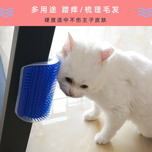 Кошка терьера, кошачья стена, царапина, щекотка, щекотка, волосы, лицо, бюстгатан