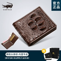 2009 коричневый череп