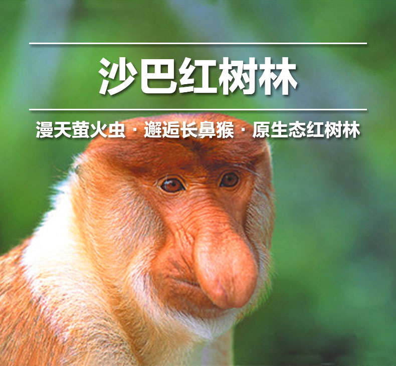 潜派旅行