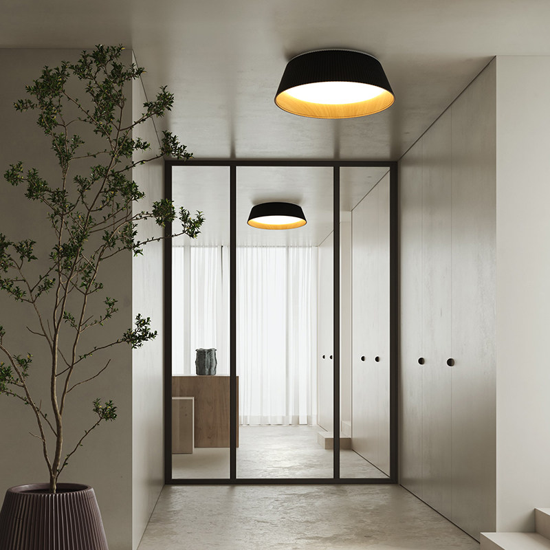 Day-style master bedroom light suction ceiling lamp Silence Wind Medieval Minimalist creative designer Minjuku apartment corridor wood grain lamp