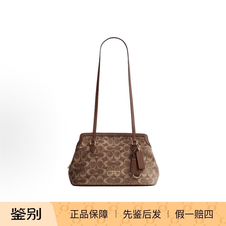 Coach Women's Bridget 35 & Elise 28 Suede Underarm Bag