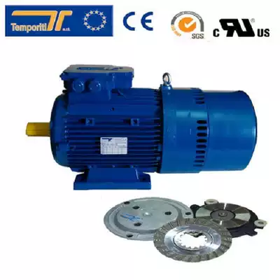 Italian Temporiti brake motor REBM71B4 0 37KW brush making machine special brake motor