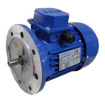 Imported Italian BBM Motor three-phase AC brake motor FEBM80B4-0 75kw purple charm Qian