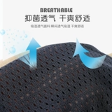 Мужские собаки физиологические штаны Тедди биологический биологический биологический биологический с собаками санитарные брюки.