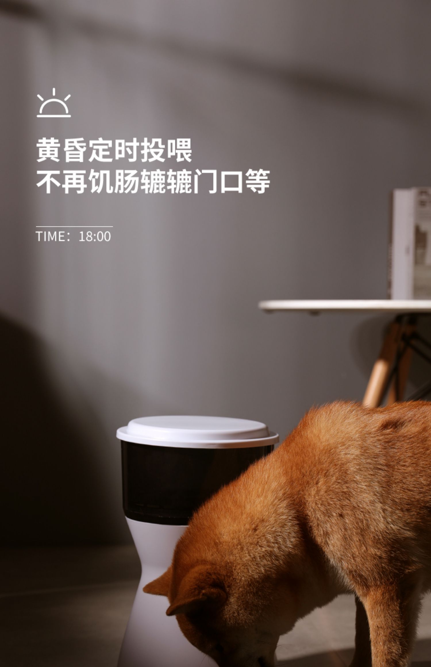 Pet tự động trung chuyển thời gian thông minh định lượng máy cho ăn cho mèo ăn thức ăn cho chó nhân tạo camera giám sát bát thức ăn cho mèo - Cat / Dog hàng ngày Neccessities Dụng cụ ăn uống Chó mèo