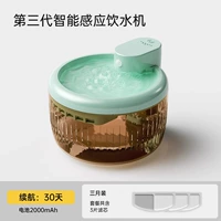 Модернизированная модель