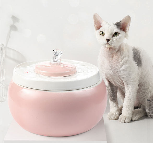 Kitty Water Dispenser Thermostatic Heating Ceramics Automatic Circulation Flow Pet Drinking Water dog Drinking water Shenzer not wet mouth