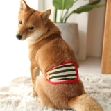 Мужские собаки физиологические штаны Тедди биологический биологический биологический биологический с собаками санитарные брюки.