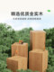 Solid Wood Coat Rack, Floor-Standing Household Clothes Rack, Bedroom Clothes Storage Rack, Room Standing Beech Wood Clothes Drying Rack