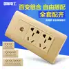 International Electrotechnical concealed 118 switch socket Champagne gold brushed TV power supply Wall panel TV ten holes