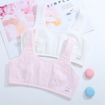 Zhangyan developmental lining cotton vest junior high school students 10-18 years old girl underwear thin