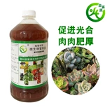 Микробное раствор питательный раствор без почвенных гидравлических овощей белые равиоли