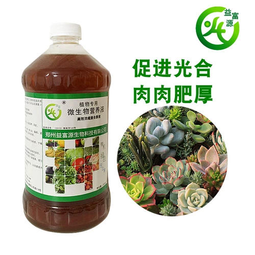 Микробное раствор питательный раствор без почвенных гидравлических овощей белые равиоли