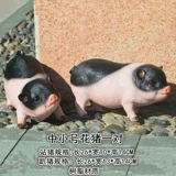 2020 имитация поросенка, украшения для двора, сада, леса, скульптура, ландшафтный дизайн, модель животного, большая свинья, фермерский дом