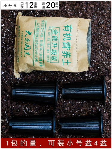 Популярная национальная почва для орхидей, специальная почва, питательная почва, сосновая кора, посадочный материал, джентльмен, саженцы орхидей, орхидея-бабочка, почва для орхидей в горшках