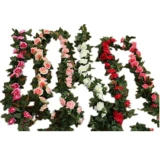 Моделирование трубопровода ротана, винограда, виноградная виноградная кондиционирование