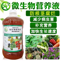 Микробное раствор питательный раствор без почвенных гидравлических овощей белые равиоли