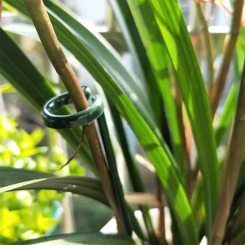 Опорная стрелка из орхидеи