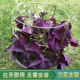 Орхидея полки цветочные колонны, поддерживающие растения и листочки, когти из горшка, крабовые когти, стойки орхидеи орхидеи