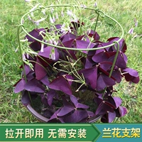 Орхидея полки цветочные колонны, поддерживающие растения и листочки, когти из горшка, крабовые когти, стойки орхидеи орхидеи