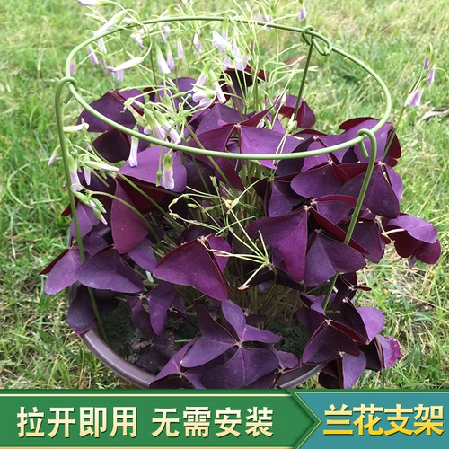 Орхидея полки цветочные колонны, поддерживающие растения и листочки, когти из горшка, крабовые когти, стойки орхидеи орхидеи