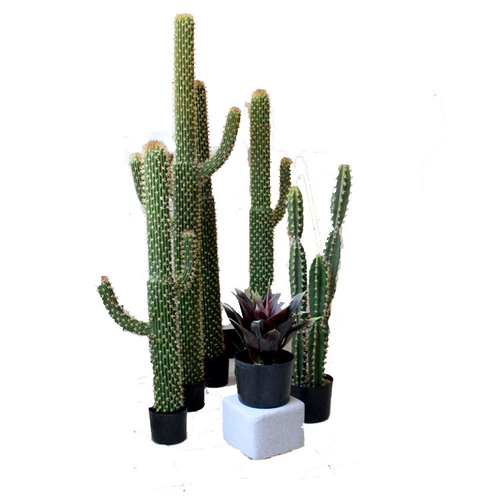 Смоделированные кактус колонна скандинавский кактус