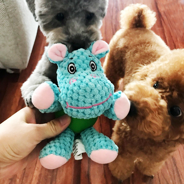 Dog toy sound rubber ball dog plush toy bite Teddy gold hair than bear grinding puppy small dog