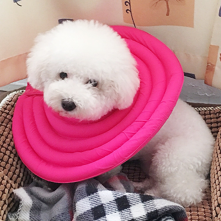 Elizabeth circle large dog dog anti-licking headgear cat super small pet cat anti-licking headgear soft neck collar