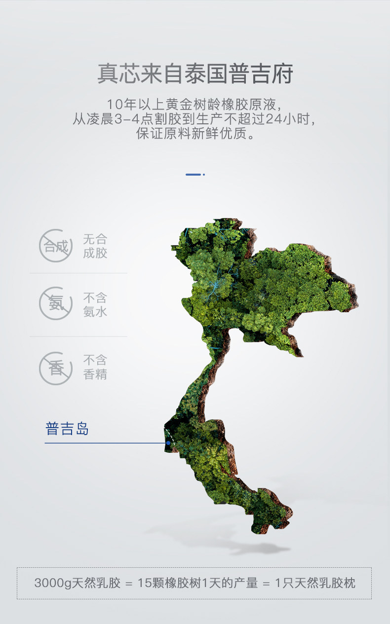 泰国进口 妮泰雅 二代工艺 乳胶按摩枕 图4