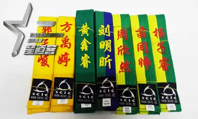 Star guest SCIC Nebula Taekwondo ribbon Professional quality does not include embroidery