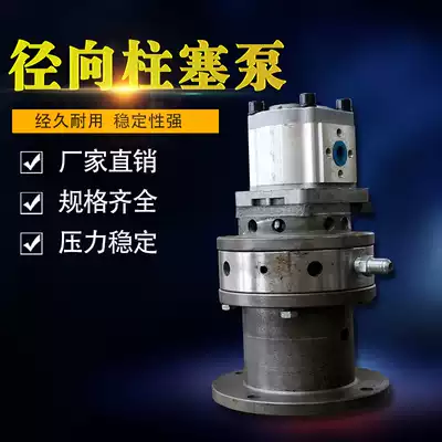 RK series 0-150MPA large flow single double row low noise oil pump electric small ultra high pressure radial piston pump