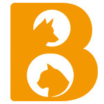Bettering宠物用品