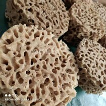 Natural Seaweed Cotton Import Drum Brush Art Paint Honeycomb Sponge Phantom Paint Brushed RM488