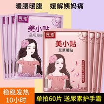 Beauty small paste wormwood grass warm paste Palace cold conditioning baby paste self-heating 10 hours female warm waist patch