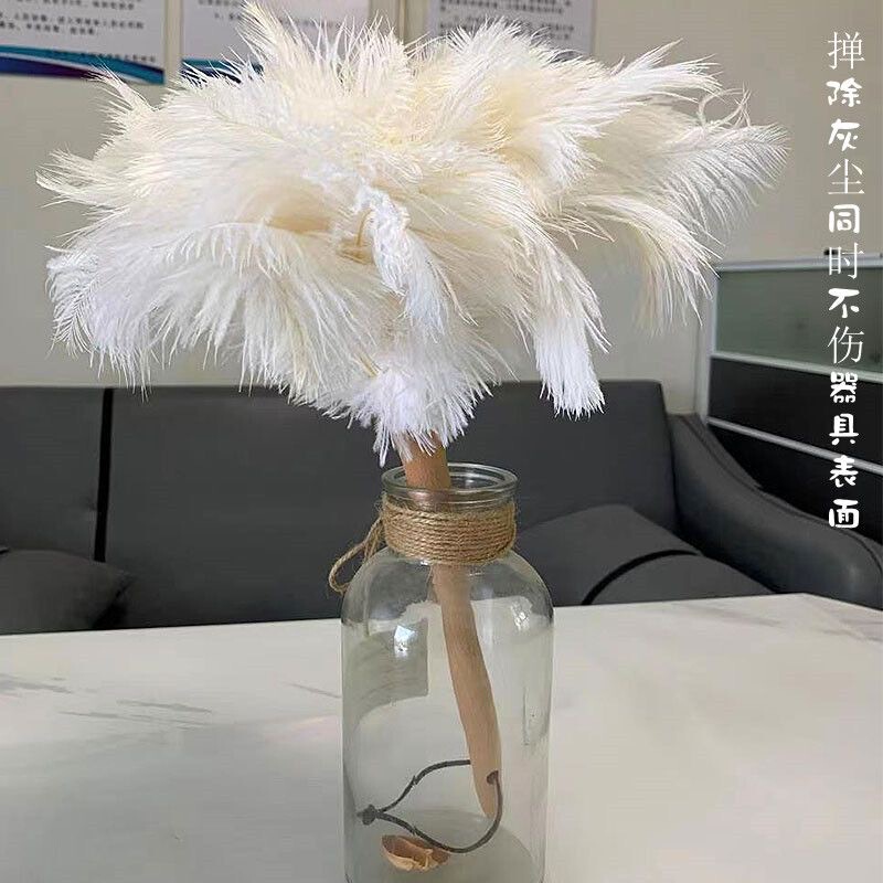 Feather Duster, Ostrich Feather Duster, Electrostatic Dust Remover, Household Feather Duster, Enhanced Cleaning Dust Removal Tool, Decoration Feather Duster, Ostrich Feather Duster, Electrostatic Dust Remover, Household Feather Duster, Enhanced Cleaning Dust Removal Tool, Decoration